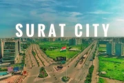 Surat: Traffic, Fire, and a Forest Officer – What Happened?